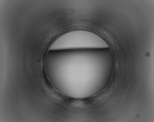 X0000094900551200711291025
