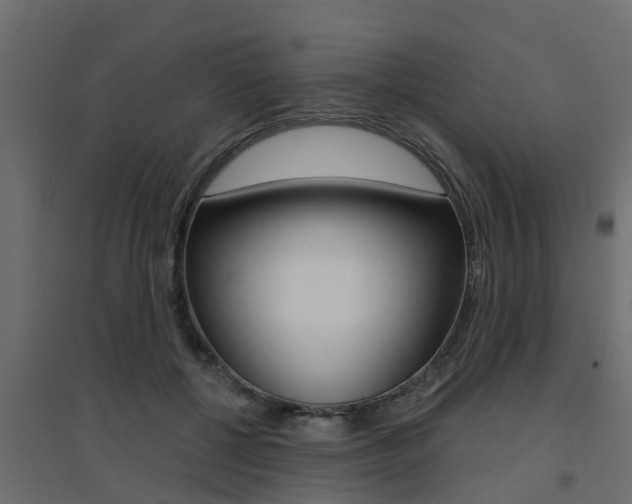 X0000094900552200711291025