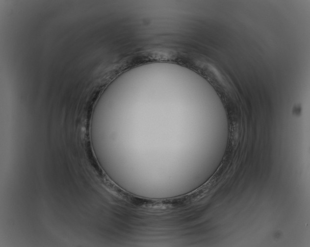 X0000094900553200711291025