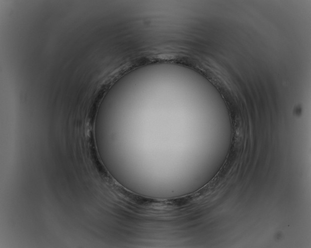 X0000094900555200711291025