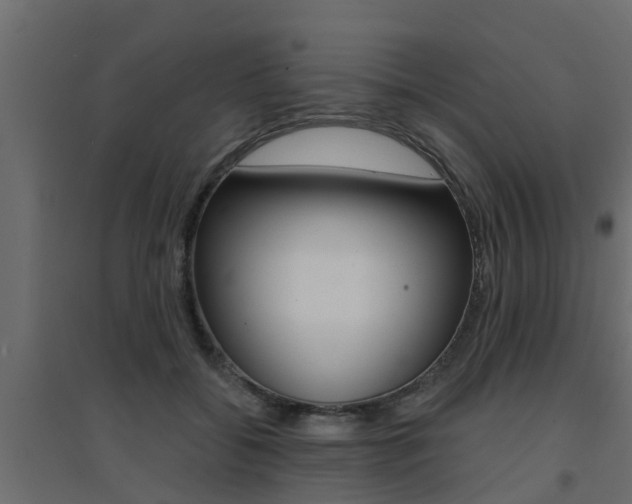 X0000094900556200711291025