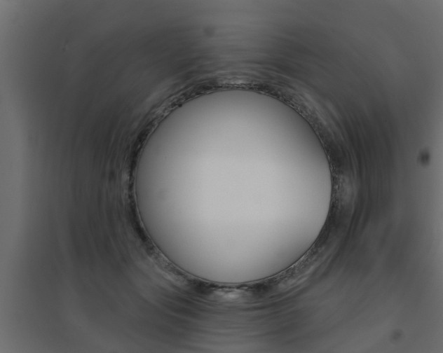 X0000094900557200711291025