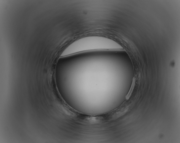X0000094900558200711291025