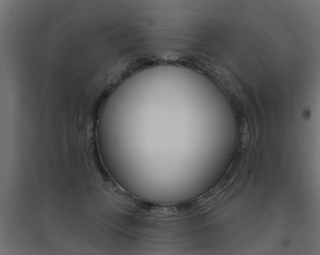X0000094900559200711291025