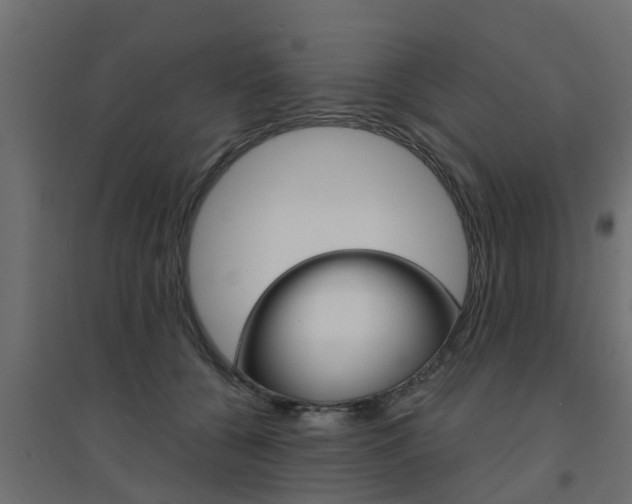 X0000094900560200711291025