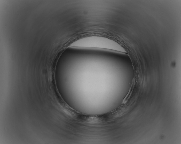 X0000094900562200711291025