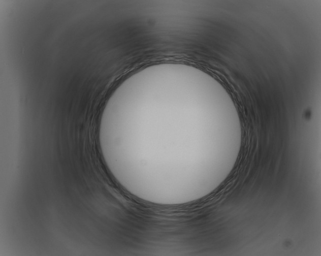 X0000094900564200711291025