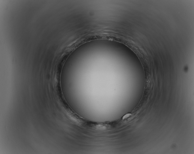 X0000094900566200711291025