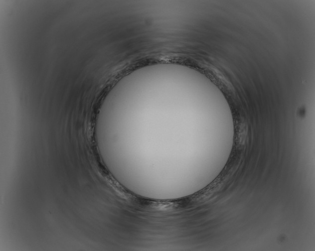 X0000094900569200711291025