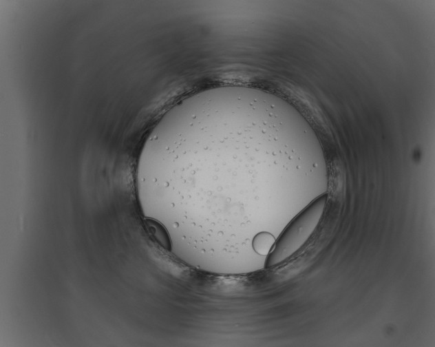 X0000094900573200711291026