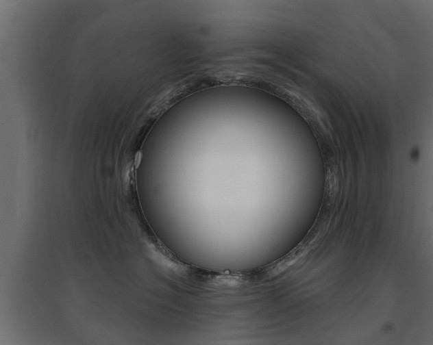 X0000094900574200711291026