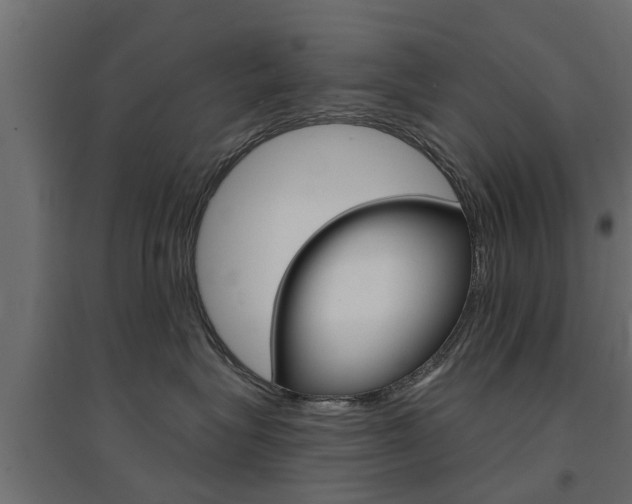 X0000094900575200711291026