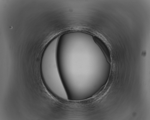 X0000094900577200711291025