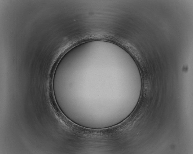 X0000094900578200711291025