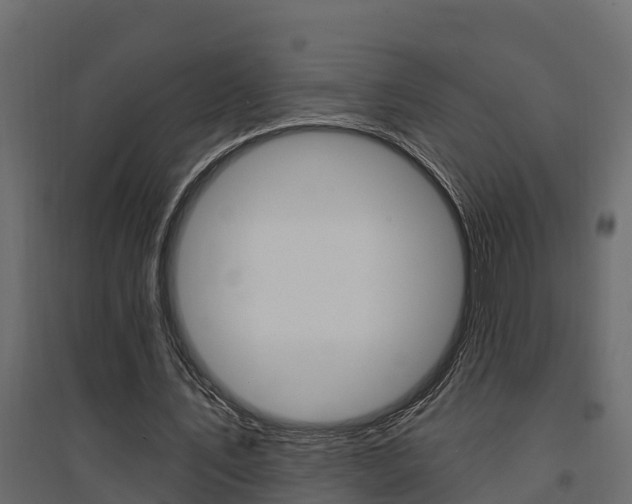 X0000094900579200711291025