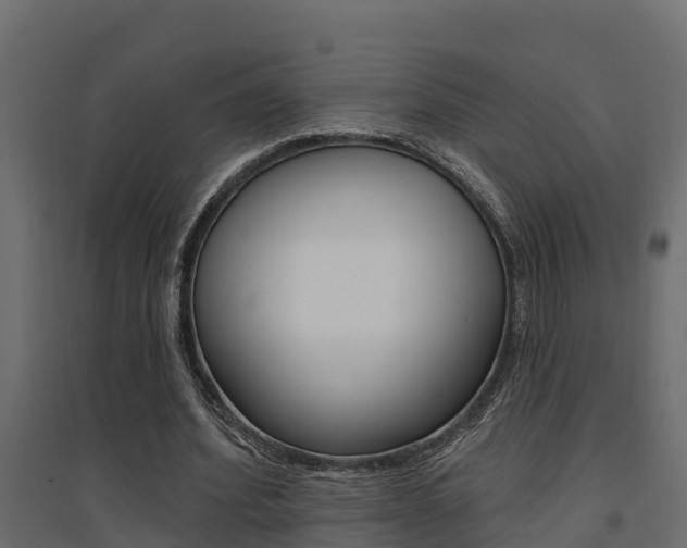 X0000094900580200711291025