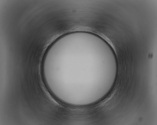 X0000094900581200711291025