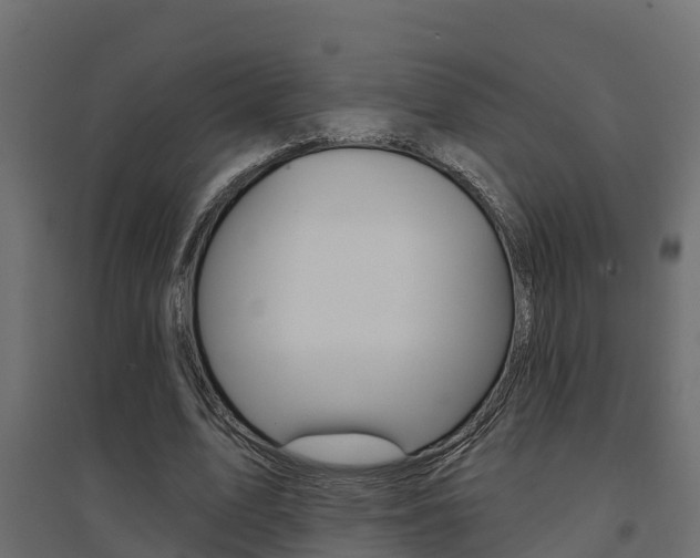 X0000094900583200711291025