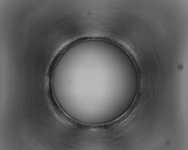 X0000094900584200711291025
