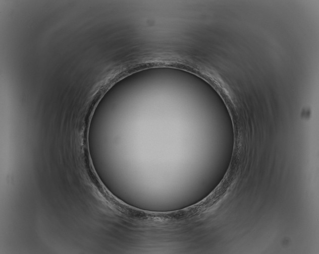 X0000094900585200711291025