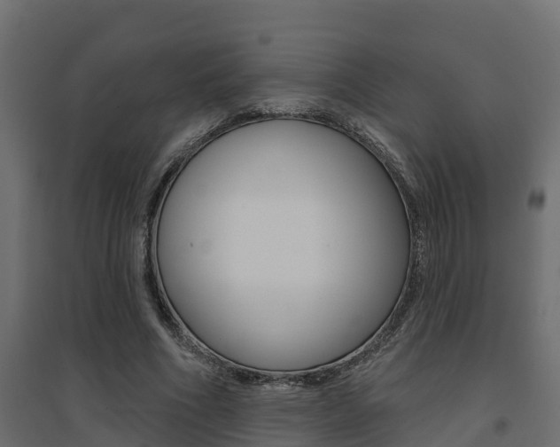X0000094900586200711291025