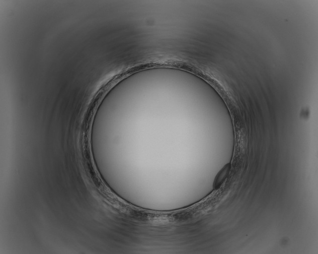 X0000094900587200711291024