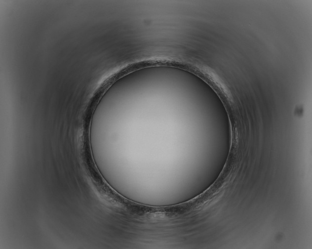 X0000094900588200711291024