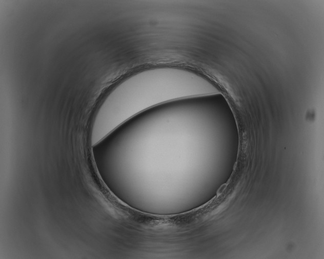 X0000094900589200711291024
