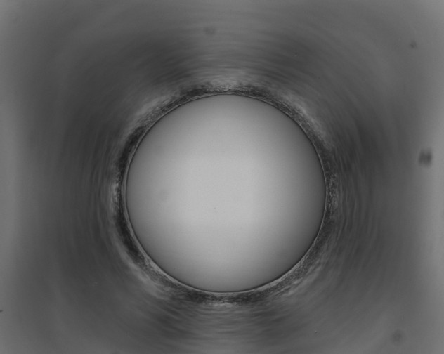 X0000094900590200711291024