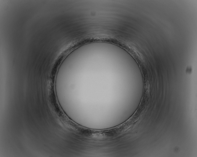 X0000094900591200711291024