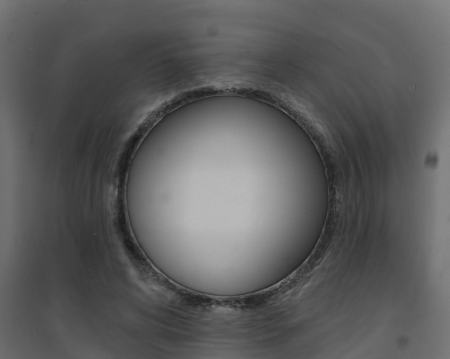 X0000094900592200711291024