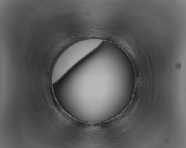 X0000094900593200711291024