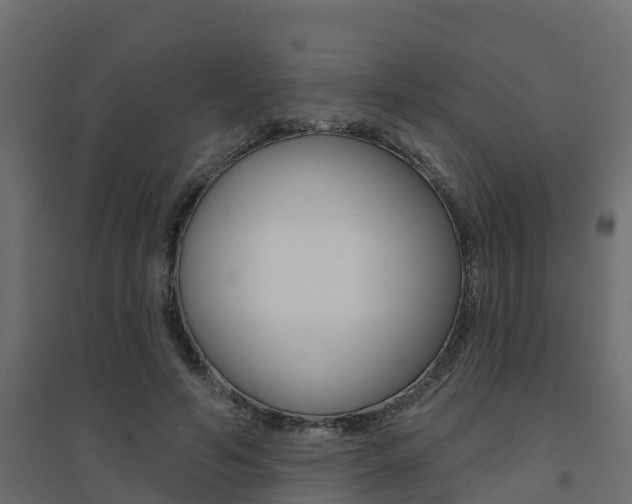 X0000094900594200711291024