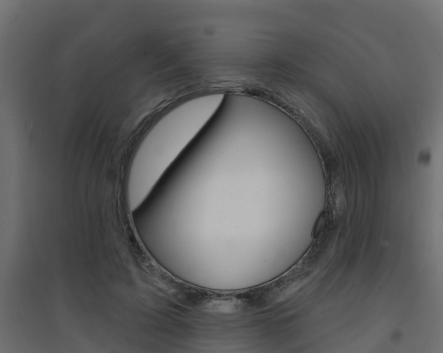 X0000094900595200711291024