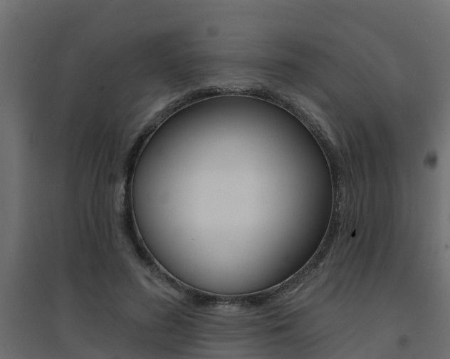 X0000094900596200711291024