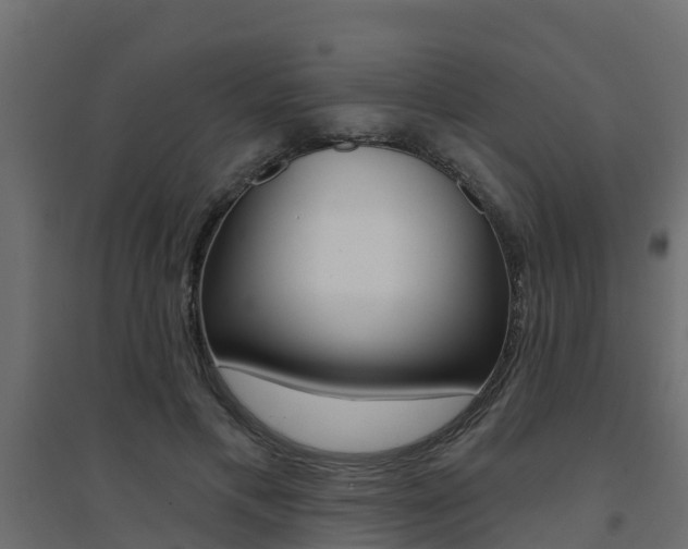 X0000094900597200711291024