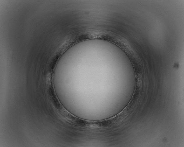 X0000094900598200711291024