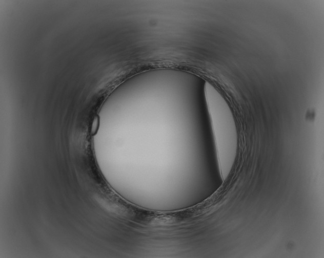 X0000094900599200711291024