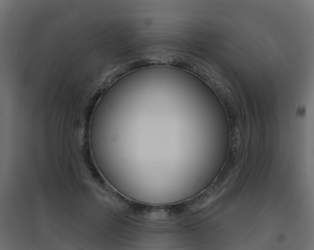 X0000094900600200711291024