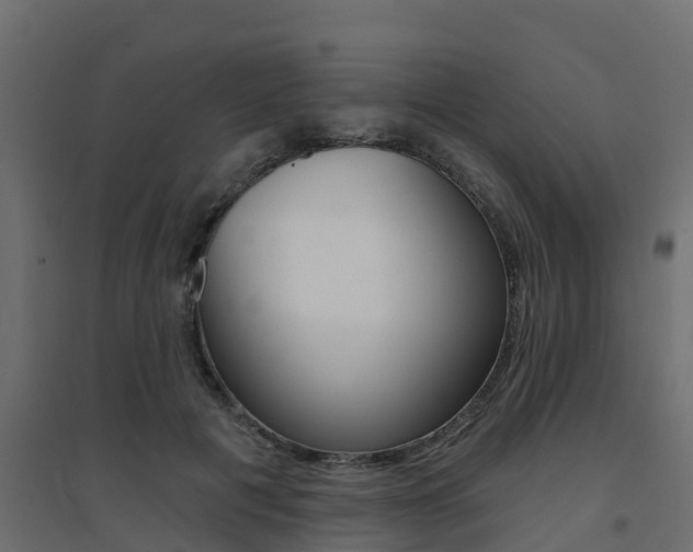 X0000094900601200711291024