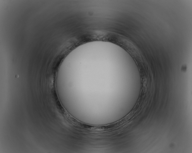 X0000094900602200711291024