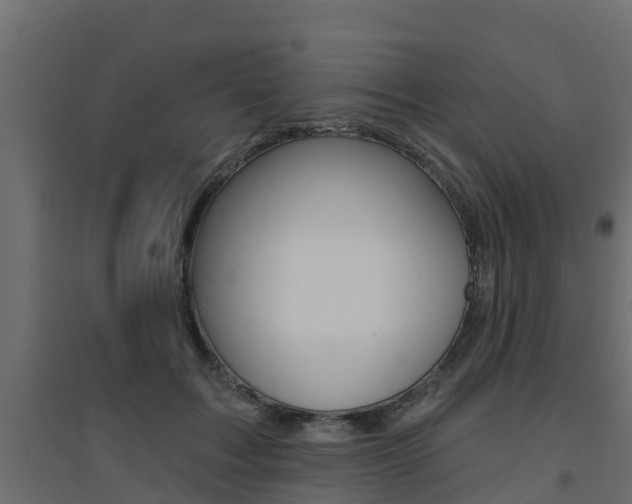 X0000094900603200711291024