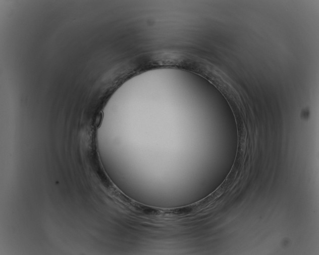 X0000094900604200711291024