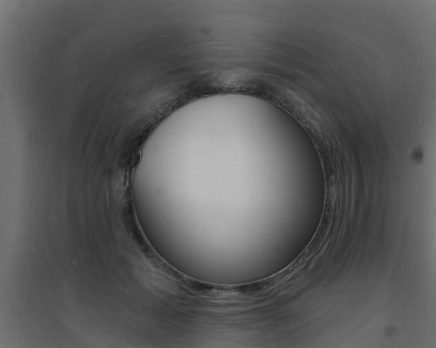 X0000094900605200711291024