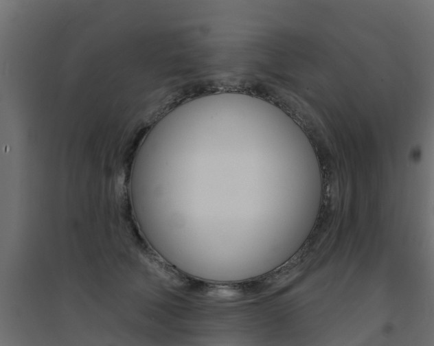 X0000094900610200711291024