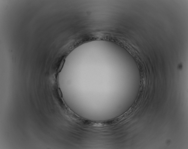X0000094900611200711291024