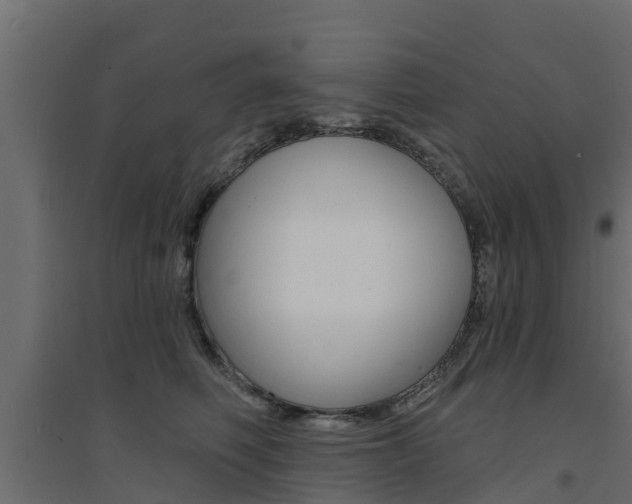 X0000094900614200711291024