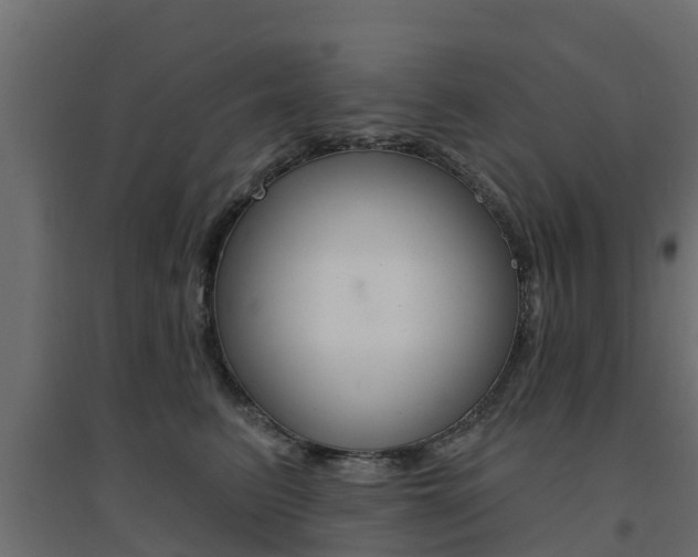 X0000094900615200711291024