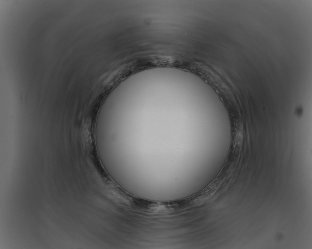 X0000094900616200711291024
