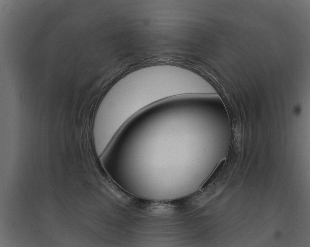 X0000094900617200711291024